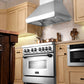 ZLINE Professional Wall Mount Range Hood in Stainless Steel 