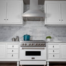 ZLINE Fingerprint Resistant Stainless Steel Range Hood with Fingerprint Resistant Shell (8654SN) - MyBBQDirect