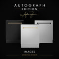 ZLINE 18 in. Autograph Edition Tallac Dishwasher Panel in Stainless Steel with Accent Handle (DPVZ-304-18) - MyBBQDirect