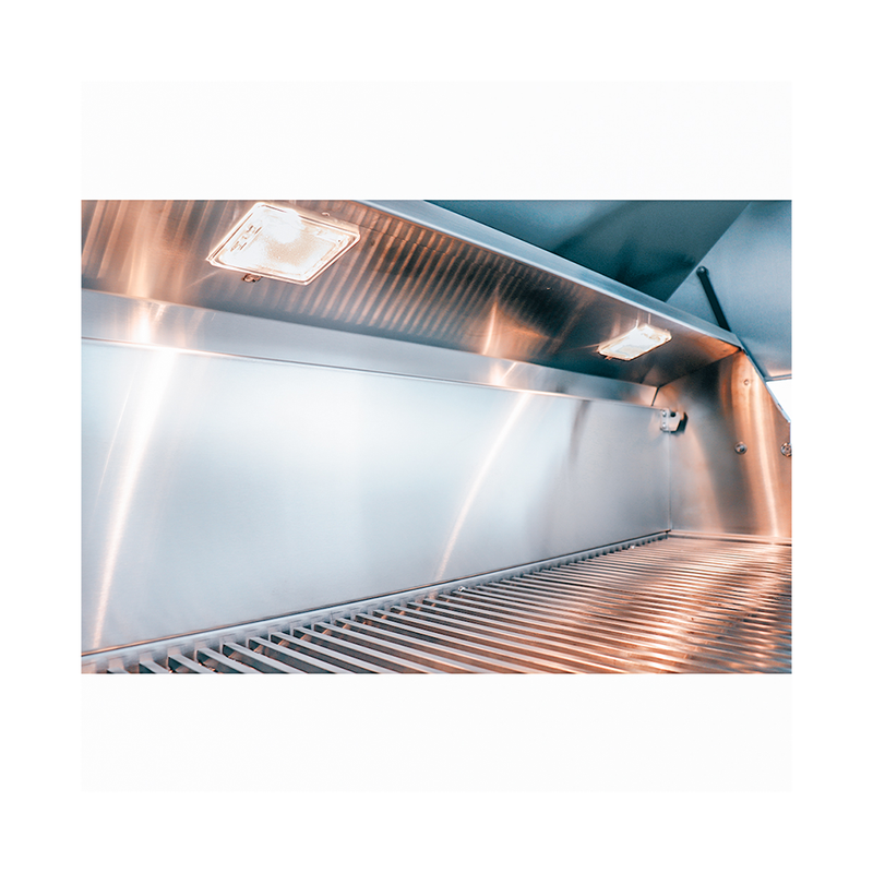 42" ARG Built-In Gas Grill - ARG42