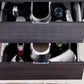 bliss-48-gray-oak-wall-mount-modern-bathroom-vanity-bsl48-go