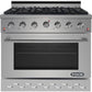 NXR 36 in. 5.5 cu.ft. Pro-Style Natural Gas Range with Convection Oven in Stainless Steel, SC3611 - MyBBQDirect