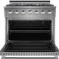 NXR 36 in. 5.5 cu.ft. Pro-Style Natural Gas Range with Convection Oven in Stainless Steel, SC3611 - MyBBQDirect