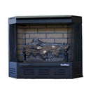 Buck Stove Model 329 Vent Free Gas Stove