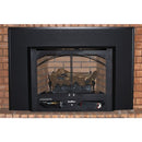 Buck Stove Model 384 Vent Free Gas Stove