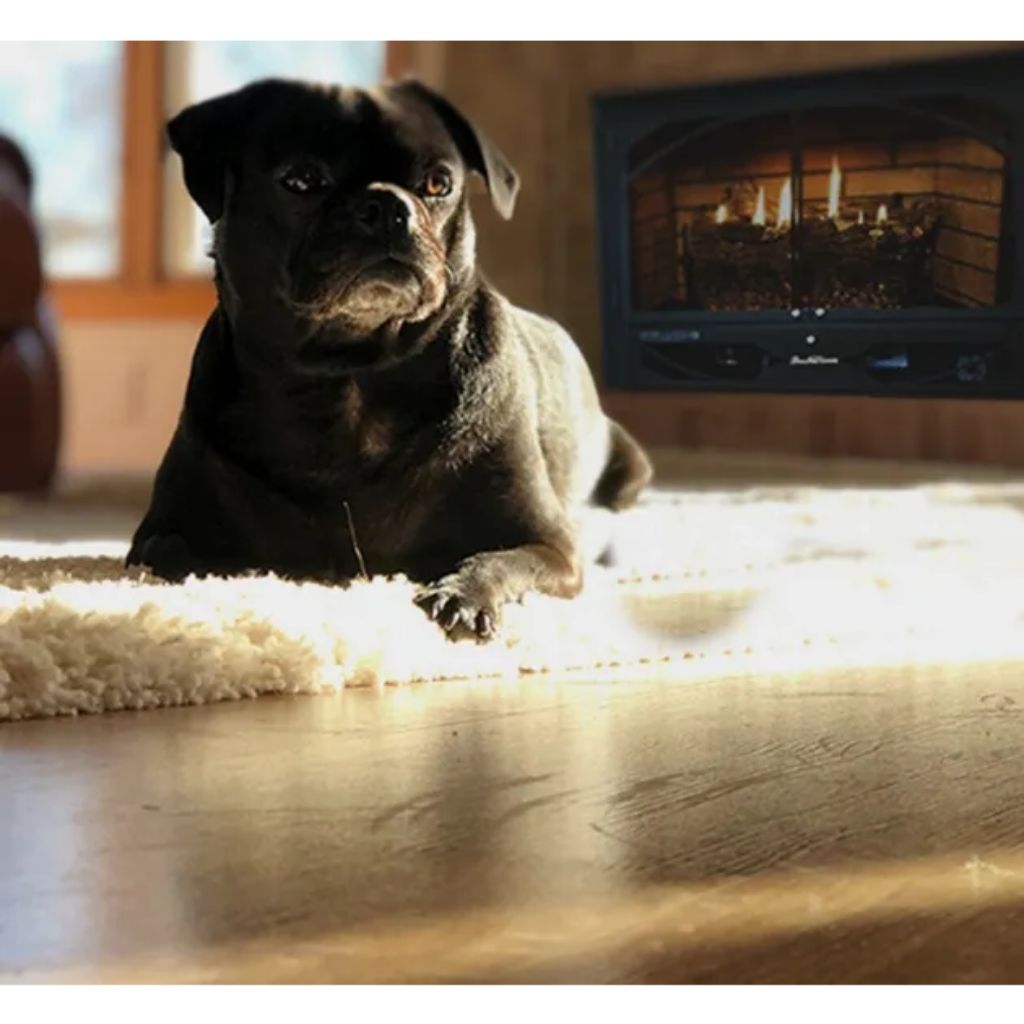 Buck Stove Model 384 Vent Free Gas Stove - MyBBQDirect
