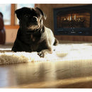 Buck Stove Model 384 Vent Free Gas Stove