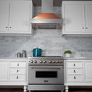 Ducted Fingerprint Resistant Stainless Steel Range Hood with Copper Shell (8654C)