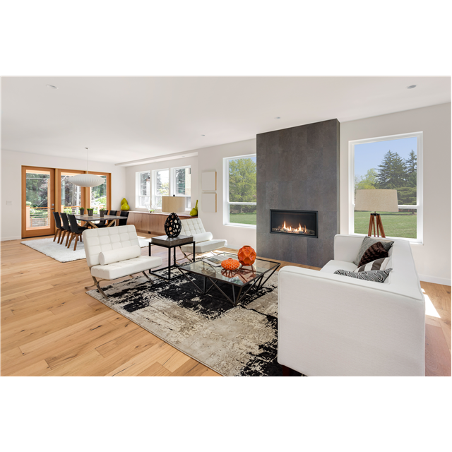 Empire Comfort Systems 46" Direct Vent, IP, Barrier