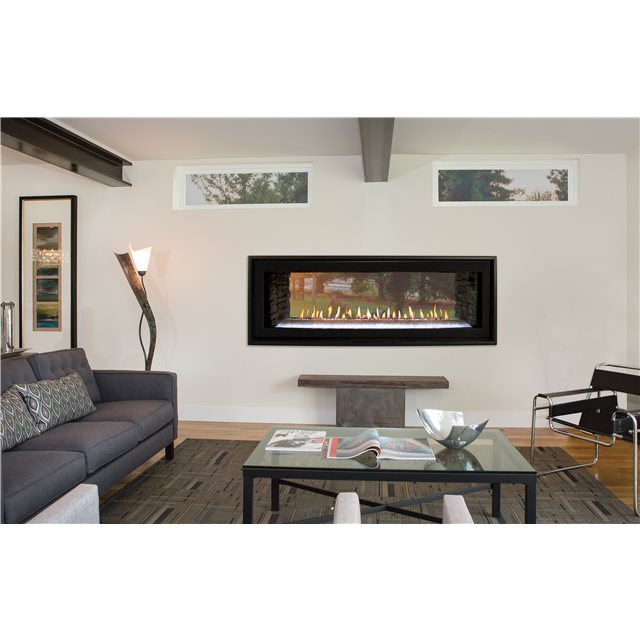 Empire Comfort Systems 48" Boulevard Direct Vent See-Through Linear Gas Fireplace 