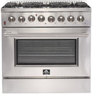 Forno Appliance Package - 36 Inch Dual Fuel Range, Dishwasher, 60 Inch Refrigerator, FDWBI-FFSGS6156-36