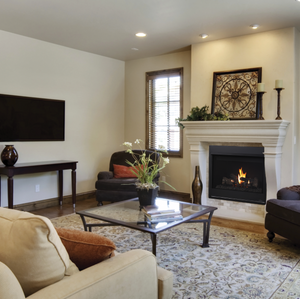 Superior Fireplaces 45 Inch Direct Vent Fireplace - DRT3045 - MyBBQDirect