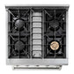 Thor Kitchen Appliance 30 in. Professional Gas Range & Dishwasher Package - HDW-HRG3080U-SS - MyBBQDirect