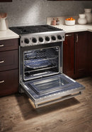 Thor Kitchen Appliance Package 30 in. Gas Range, Dishwasher - HDW-LRG3001U-SS