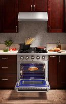 Thor Kitchen Appliance Package - 30 in. Gas Range, Microwave Drawer, Refrigerator & Dishwasher - TMD-HRG3080U-2401
