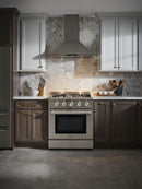 Thor Kitchen Package - 30 in. Professional Gas Range, Range Hood, Microwave Drawer, Refrigerator, Dishwasher