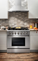 Thor Kitchen Package - 36 in.  Gas Range, Microwave Drawer, Refrigerator, Dishwasher 