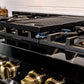 ZLINE High Grate Reversible Cast Iron Griddle (HG-GRZ-NS) - MyBBQDirect