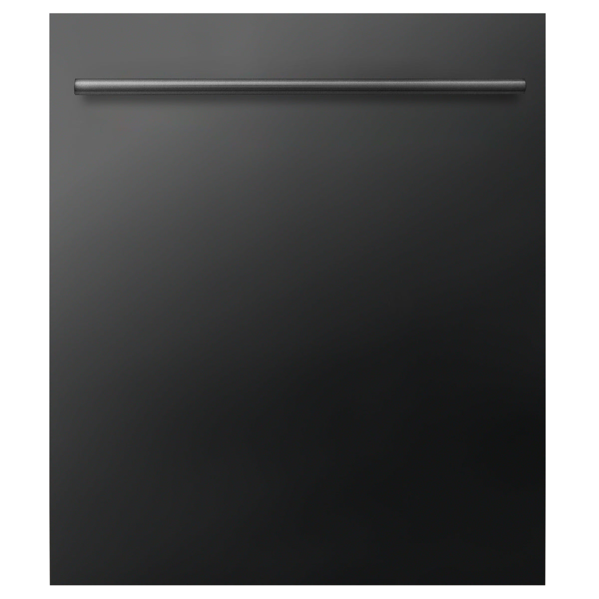 ZLINE 24 in. Dishwasher Panel with Modern Handle (DP-24) - MyBBQDirect