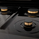 ZLINE 30 in. Autograph Edition Kitchen Package with Black Stainless Steel Dual Fuel Range, Range Hood and Dishwasher with Champagne Bronze Accents (3AKP-RABRHDWV30-CB) - MyBBQDirect