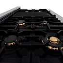 ZLINE 48 in. Porcelain Gas Stovetop in DuraSnow Stainless Steel with 7 Gas Burners and Griddle (RTS-48) Available with Brass Burners - MyBBQDirect