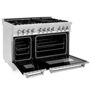 ZLINE 48 in. Kitchen Package with Stainless Steel Dual Fuel Range and Convertible Vent Range Hood (2KP-RARH48)