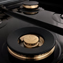 ZLINE 48 in. Autograph Edition Kitchen Package with Stainless Steel Dual Fuel Range and Range Hood with Champagne Bronze Accents (2AKP-RARH48-CB) - MyBBQDirect