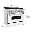 ZLINE 36 in. Autograph Edition Kitchen Package with Stainless Steel Dual Fuel Range with White Matte Door and Range Hood with Polished Gold Accents (2AKP-RAWMRH36-G) - MyBBQDirect