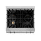 ZLINE 30 in. Porcelain Gas Stovetop with 4 Gas Burners (RT30) Available with Brass Burners - MyBBQDirect