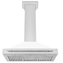 ZLINE 48 in. Stainless Steel Range Hood with Stainless Steel Handle and Colored Shell Options (KB4STX-48) - MyBBQDirect