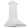 36 in. ZLINE Autograph Edition Fingerprint Resistant Stainless Steel Range Hood with Stainless Steel Shell and Colored Handle (8654SNZ-36)