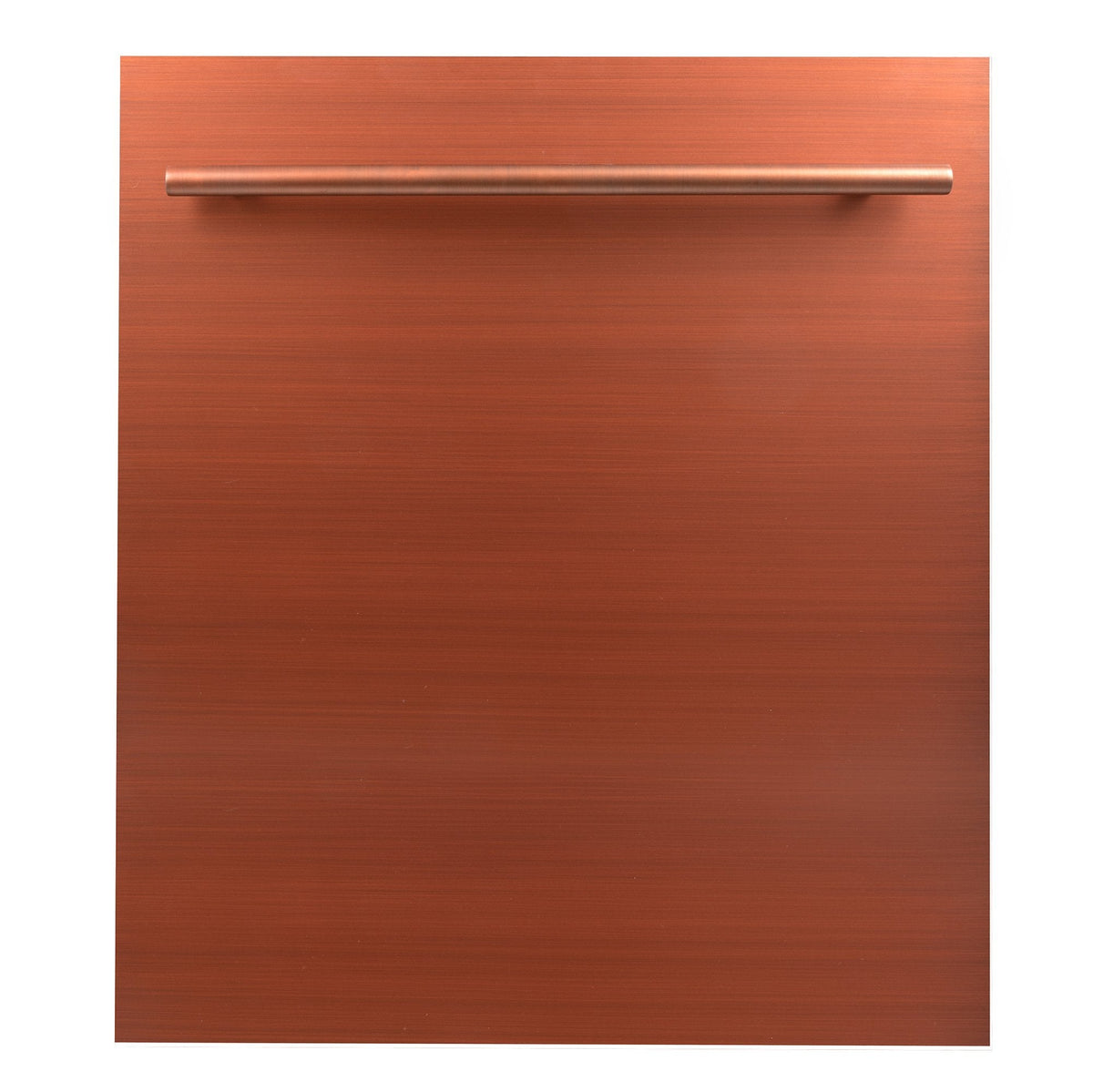 ZLINE 24 in. Dishwasher Panel with Modern Handle (DP-24) - MyBBQDirect