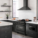 ZLINE 36 in. 4.6 cu. ft. Dual Fuel Range with Gas Stove and Electric Oven in Black Stainless Steel with Brass Burners (RAB-BR-36) - MyBBQDirect