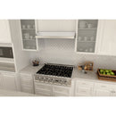 ZLINE 400 CFM Ducted Under Cabinet Range Hood in Stainless Steel - Hardwired Power (617) - MyBBQDirect