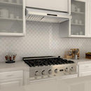 ZLINE Ducted Under Cabinet Range Hood in Stainless Steel (619) - MyBBQDirect
