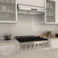 ZLINE Ducted Under Cabinet Range Hood in Stainless Steel (621) - MyBBQDirect