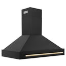 ZLINE 48 in. Autograph Edition Black Stainless Steel Range Hood with Handle (BS655Z-48) - MyBBQDirect