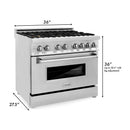 ZLINE 36 in. 4.6 cu. ft. Electric Oven and Gas Cooktop Dual Fuel Range with Griddle and Brass Burners in Stainless Steel (RA-BR-GR-36) - MyBBQDirect