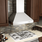 ZLINE Professional Convertible Vent Wall Mount Range Hood in Stainless Steel (697) - MyBBQDirect